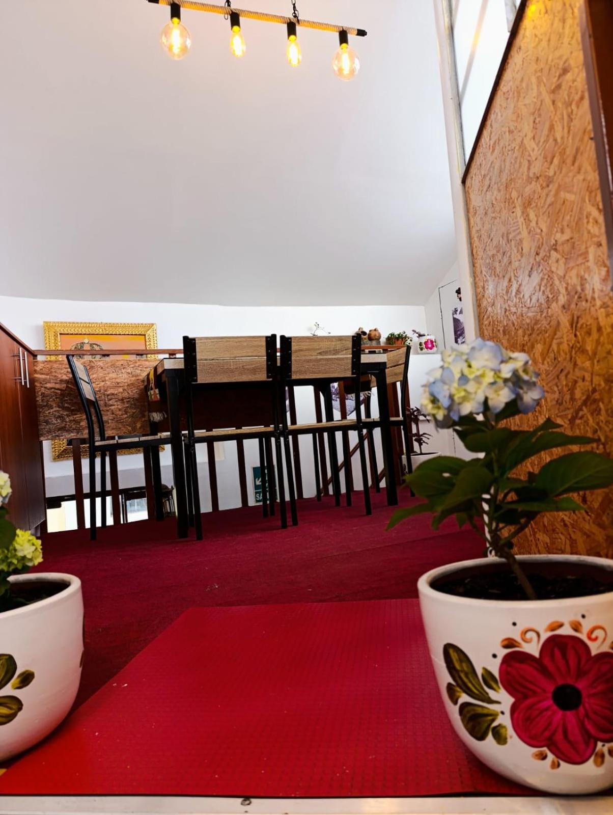 Ecoterra Hoteles 库斯科 外观 照片